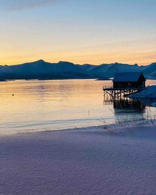 Holiday Home With Sauna In The Arctic Caribbean, Tromsø Esterno foto